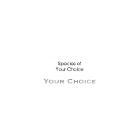 Your Choice